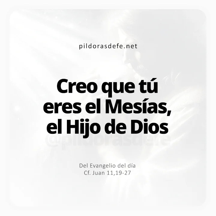Evangelio de hoy Juan 11,19-27: Creo que tú eres el Mesías, el hijo de Dios
