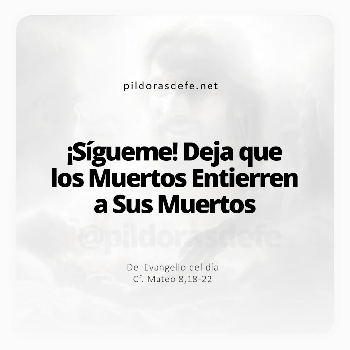 Evangelio de hoy Mateo 8,18-22: Deja que los muertos entierren a sus muertos