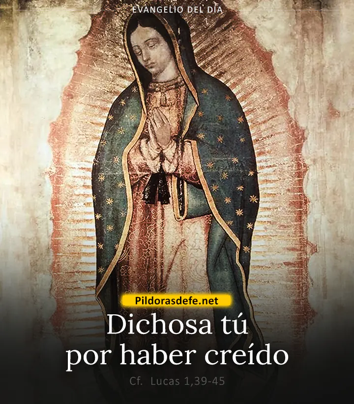 Evangelio de hoy, Lucas 1,39-45: Dichosa tú por haber creído