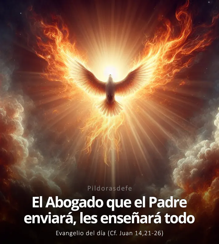 Evangelio de hoy, Juan 14,21-26: El Abogado que el Padre enviará, les enseñará todo