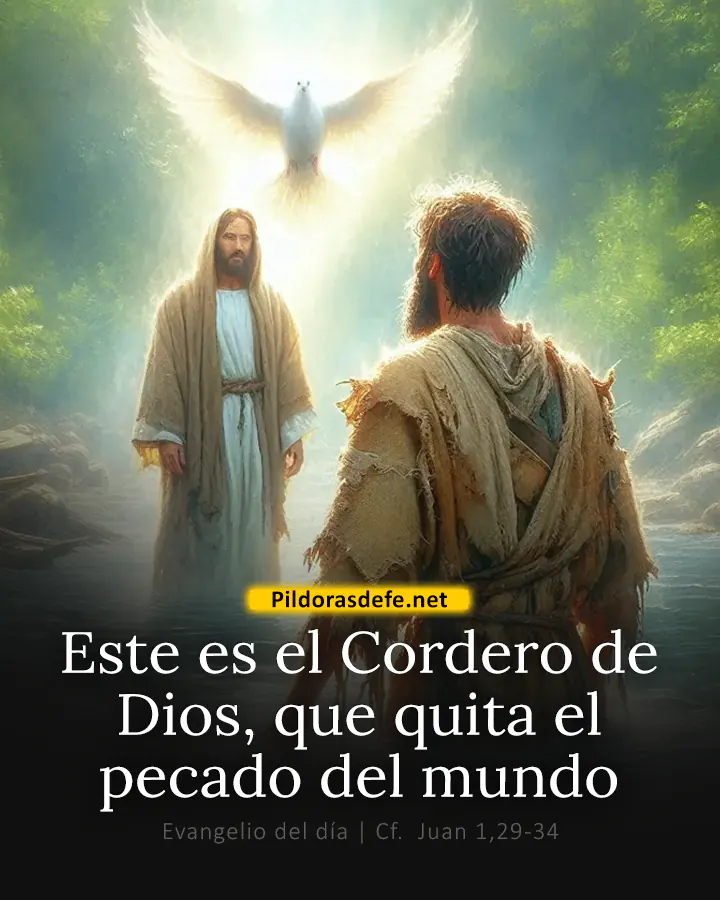Evangelio de hoy, Juan 1,29-34: Este es el Cordero de Dios, que quita el pecado del mundo