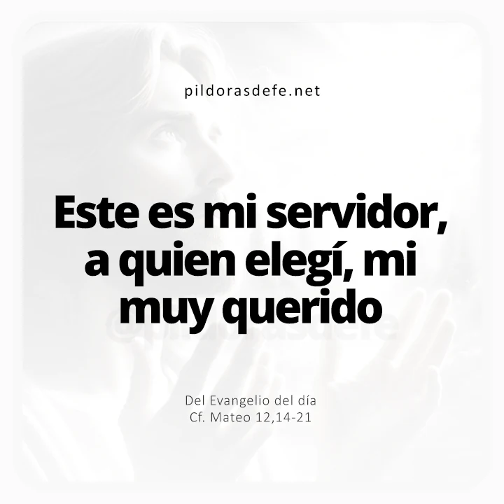 Evangelio de hoy Mateo 12,14-21: Este es mi servidor, mi muy querido
