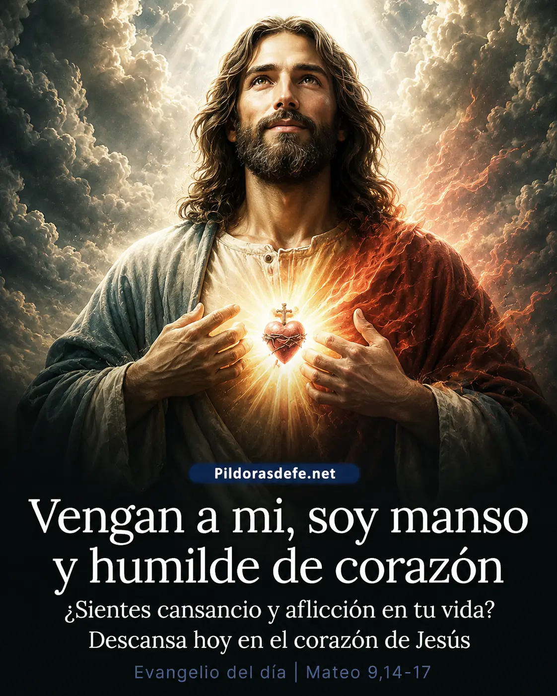 Evangelio de hoy Domingo, Mateo 11,25-30: Vengan a mí, que Soy manso y humilde de corazón
