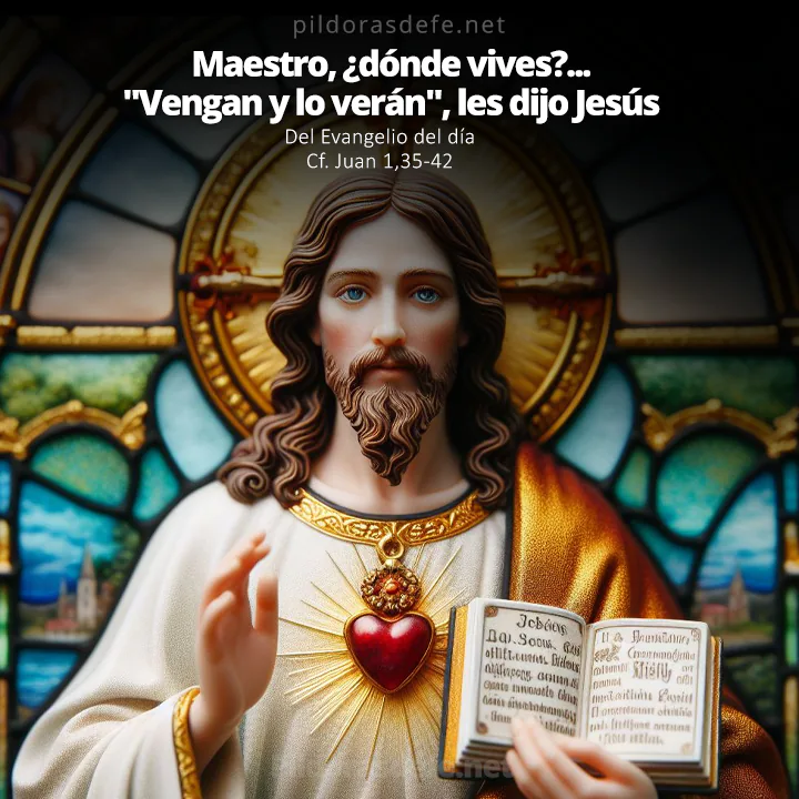 Evangelio de hoy (Juan 1,35-42): Maestro, ¿dónde vives?... Vengan y lo verán. dijo Jesús