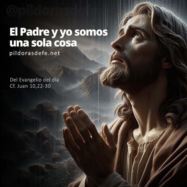 Evangelio de hoy Juan 10,22-30: El Padre y Yo somos una sola cosa