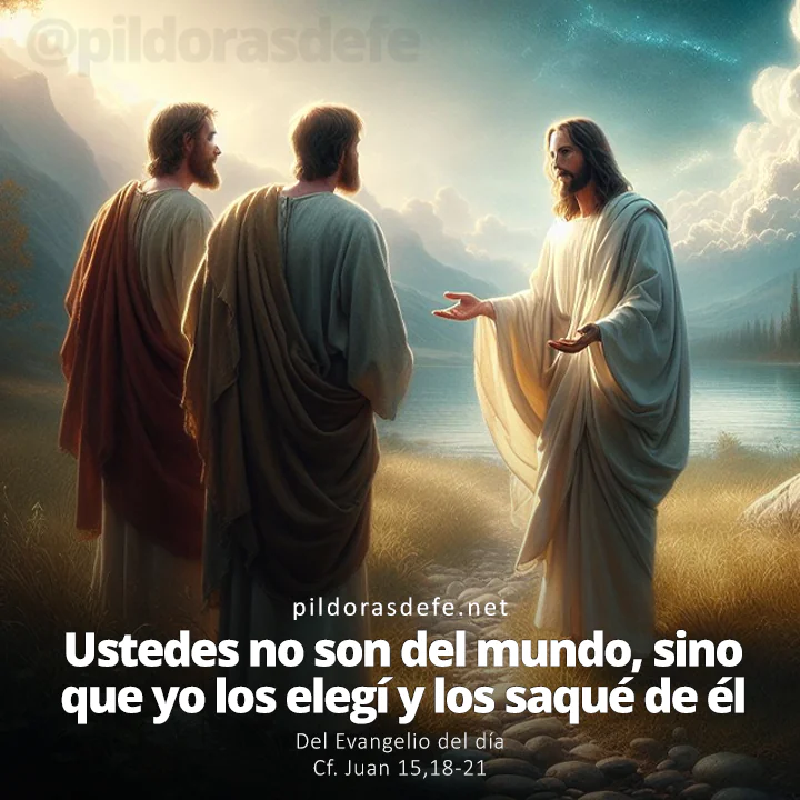 Evangelio de hoy Juan 15,18-21: Ustedes no son del mundo