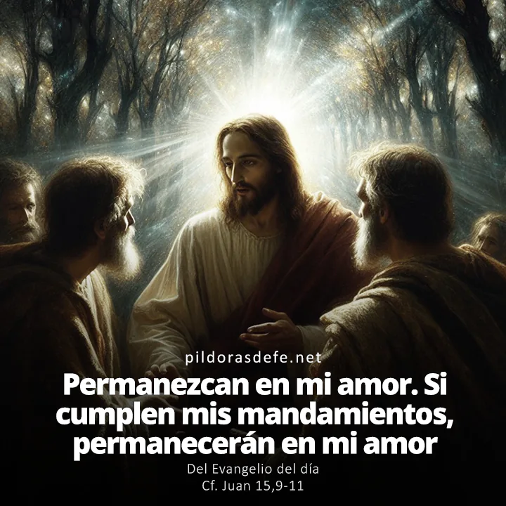 Evangelio de hoy Juan 15,9-11: Permanezcan en mi amor