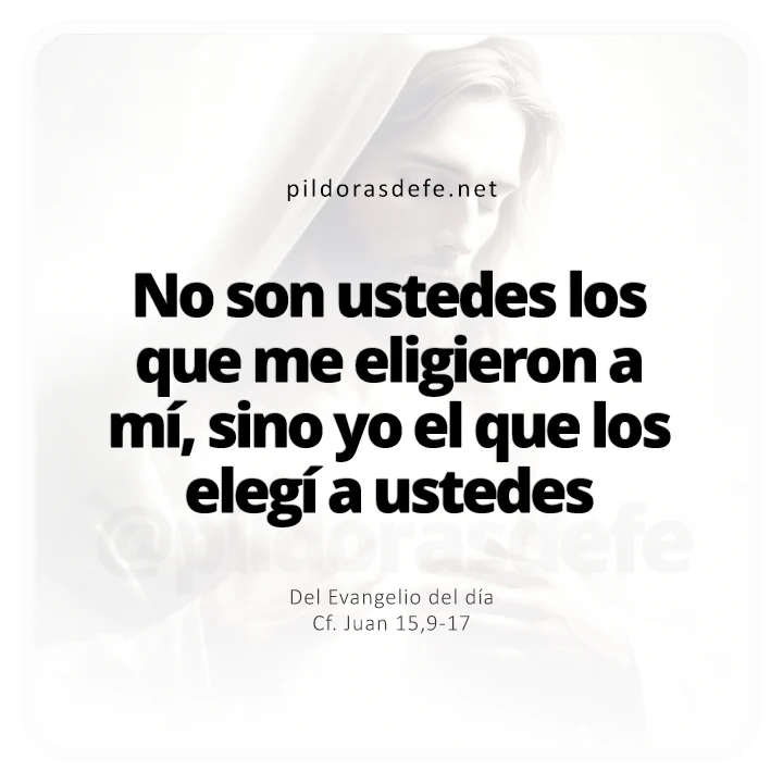 Evangelio de hoy Juan 15,9-17: He sido Yo quien los ha elegido a ustedes