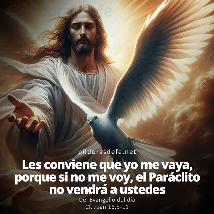 Evangelio de hoy Juan 16,5-11: Les conviene que yo me vaya, sino el Paráclito no vendrá