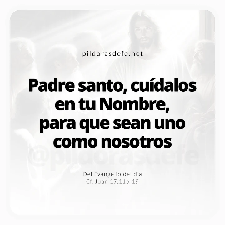 Evangelio de hoy Juan 17,11-19: Cuídalos, que sean uno como nosotros somos uno