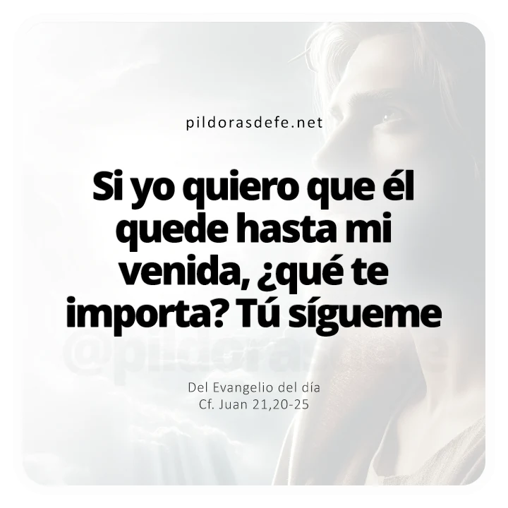 Evangelio de hoy Juan 21-20-25: ¿Qué te importa? Tú sígueme