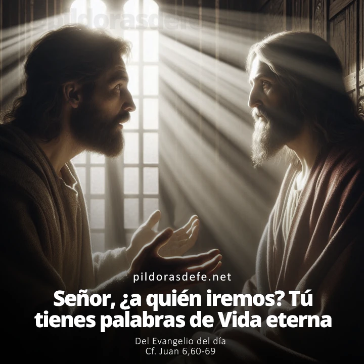 Evangelio de hoy Juan 6,60-69: Señor, ¿a quién iremos? Tú tienes palabras de vida eterna