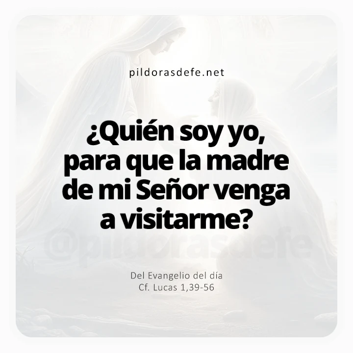 Evangelio de hoy Lucas 1,39-56: ¿Quién soy yo para que la Madre de mi Señor venga a verme?