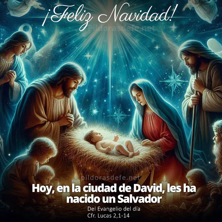 Feliz Navidad: hoy nos ha nacido un Salvador