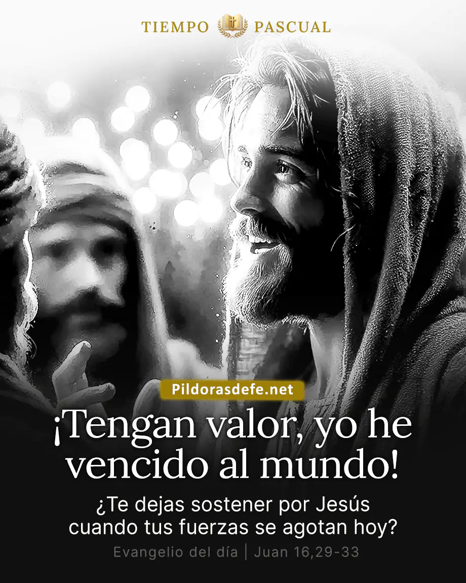 Evangelio de hoy Lunes Juan 16 29 33 Yo he vencido al mundo Evangelio de hoy, Juan 16,29-33: Ánimo, yo he vencido al mundo