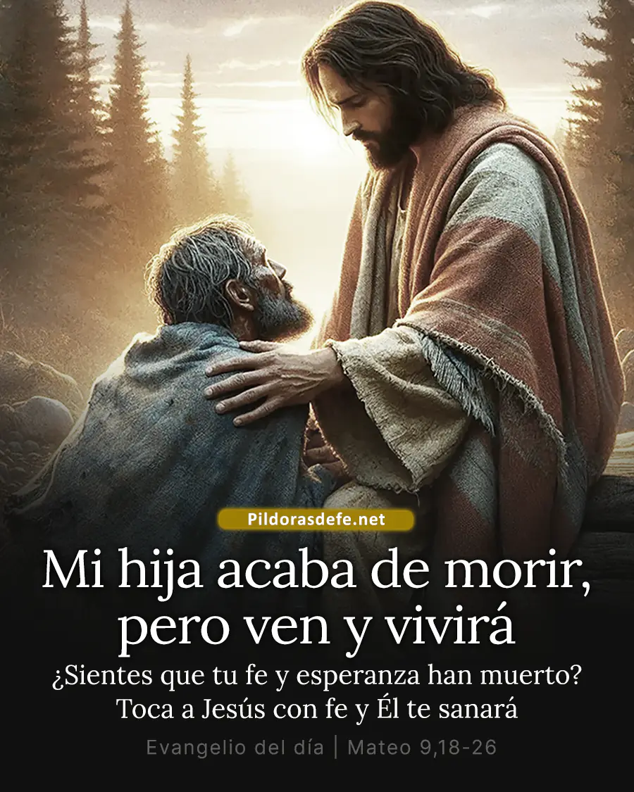 Evangelio de hoy Lunes Mateo 9 18 26 Mi hija acaba de morir ven y vivira Evangelio de hoy Lunes, Mateo 9,18-26: Mi hija acaba de morir, pero ven y vivirá
