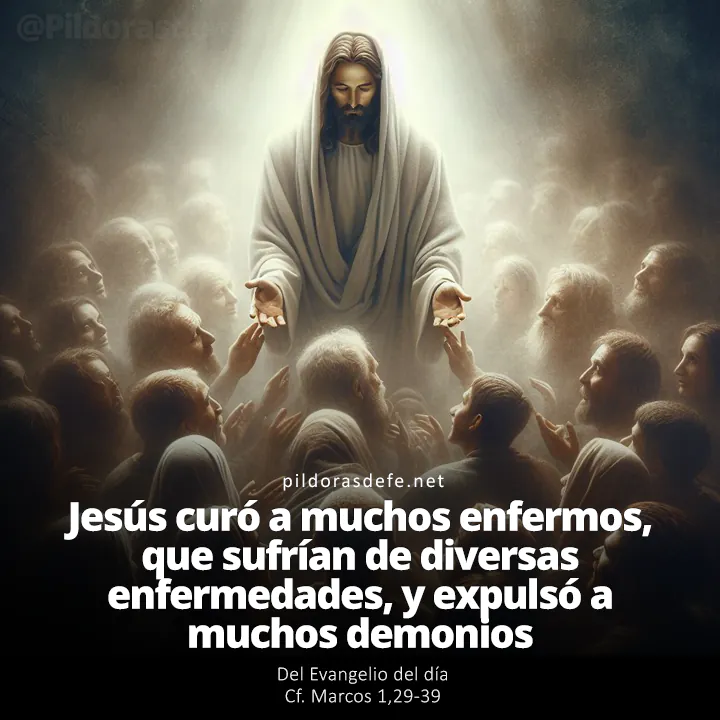 Evangelio de hoy (Marcos 1,29-39): Curó a muchos enfermos de varias enfermedades