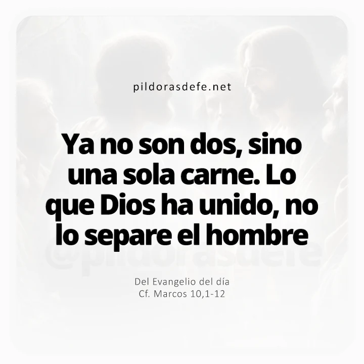 Evangelio de hoy Marcos 10,1-12: Ya no son dos sino una sola carne