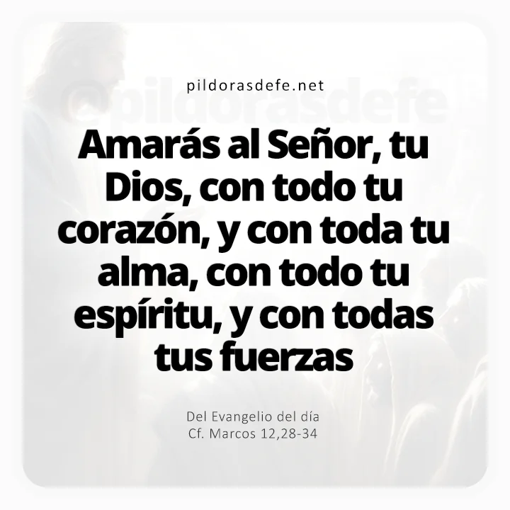 Evangelio de hoy Marcos 12,28-34: Amarás al Señor tu Dios con todo tu corazón