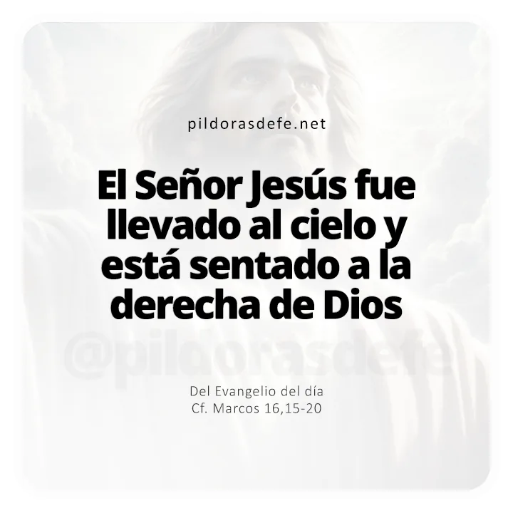 Evangelio de hoy Marcos 16,15-20: El Señor Jesús fue llevado al Cielo