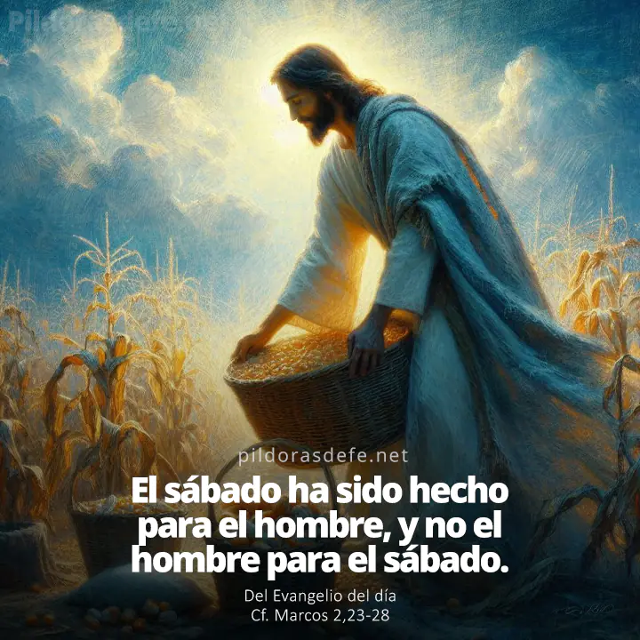 Evangelio de hoy (Marcos 2,23-28): El Sábado ha sido hecho para el hombre