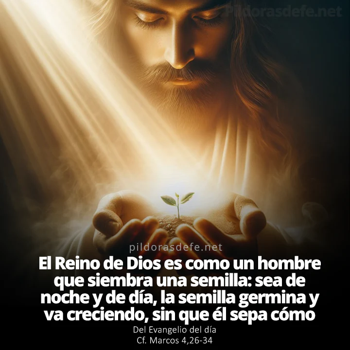 Evangelio de hoy (Marcos 4,25-34): La semilla va creciendo sin que él sepa cómo