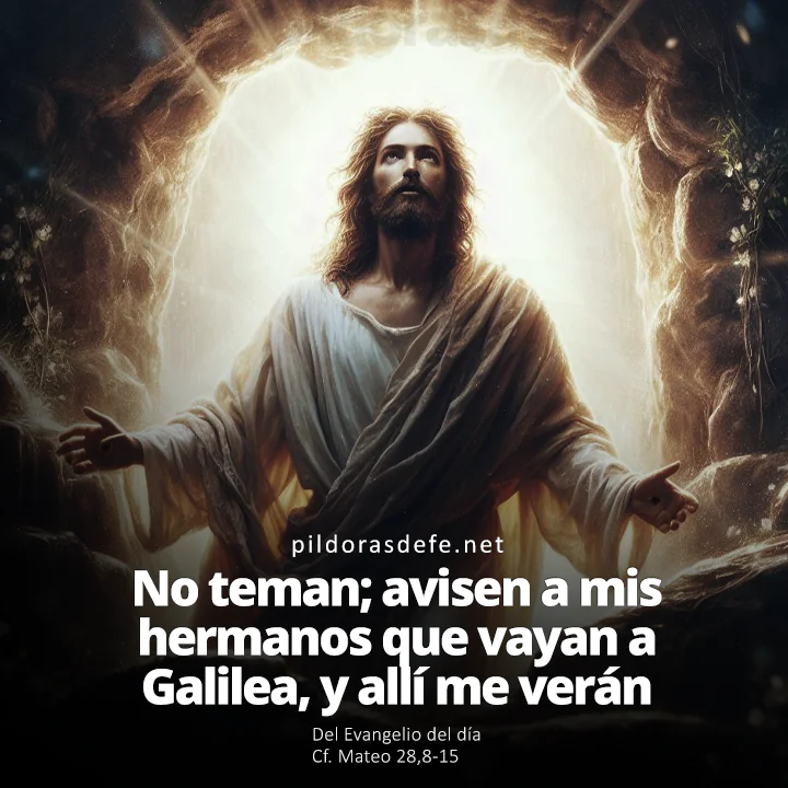 Evangelio de hoy según San Mateo 28,8-15: No teman, avisen a mis hermanos que vayan a Galilea