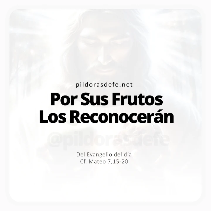 Evangelio de hoy Mateo 7,15-20: Por sus frutos los Reconocerán