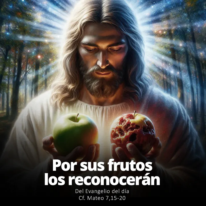 Evangelio de hoy Mateo 7,15-20: Por sus frutos los Reconocerán