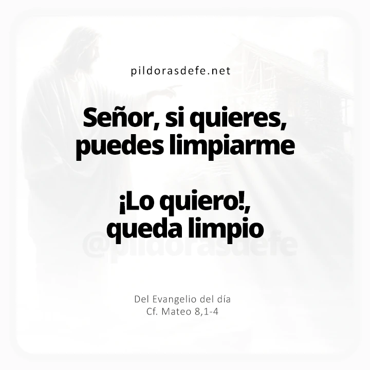 Evangelio de hoy Mateo 8,1-4: Señor, si quieres, puedes limpiarme