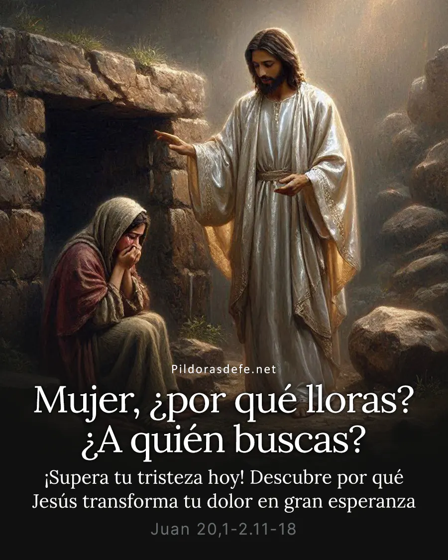 Evangelio de hoy Miercoles Juan 20 1 2 11 18 Mujer por que lloras 220726 Evangelio de hoy Miércoles, Juan 20,1-2.11-18: Mujer, ¿por qué lloras? ¿A quién buscas?