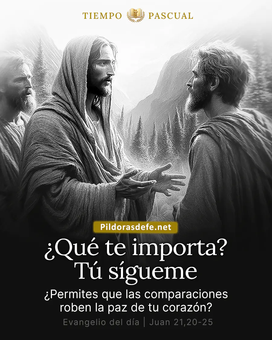 Evangelio de hoy Juan 21,20-25: Si yo quiero que él quede hasta mi venida, ¿qué te importa? Tú sígueme