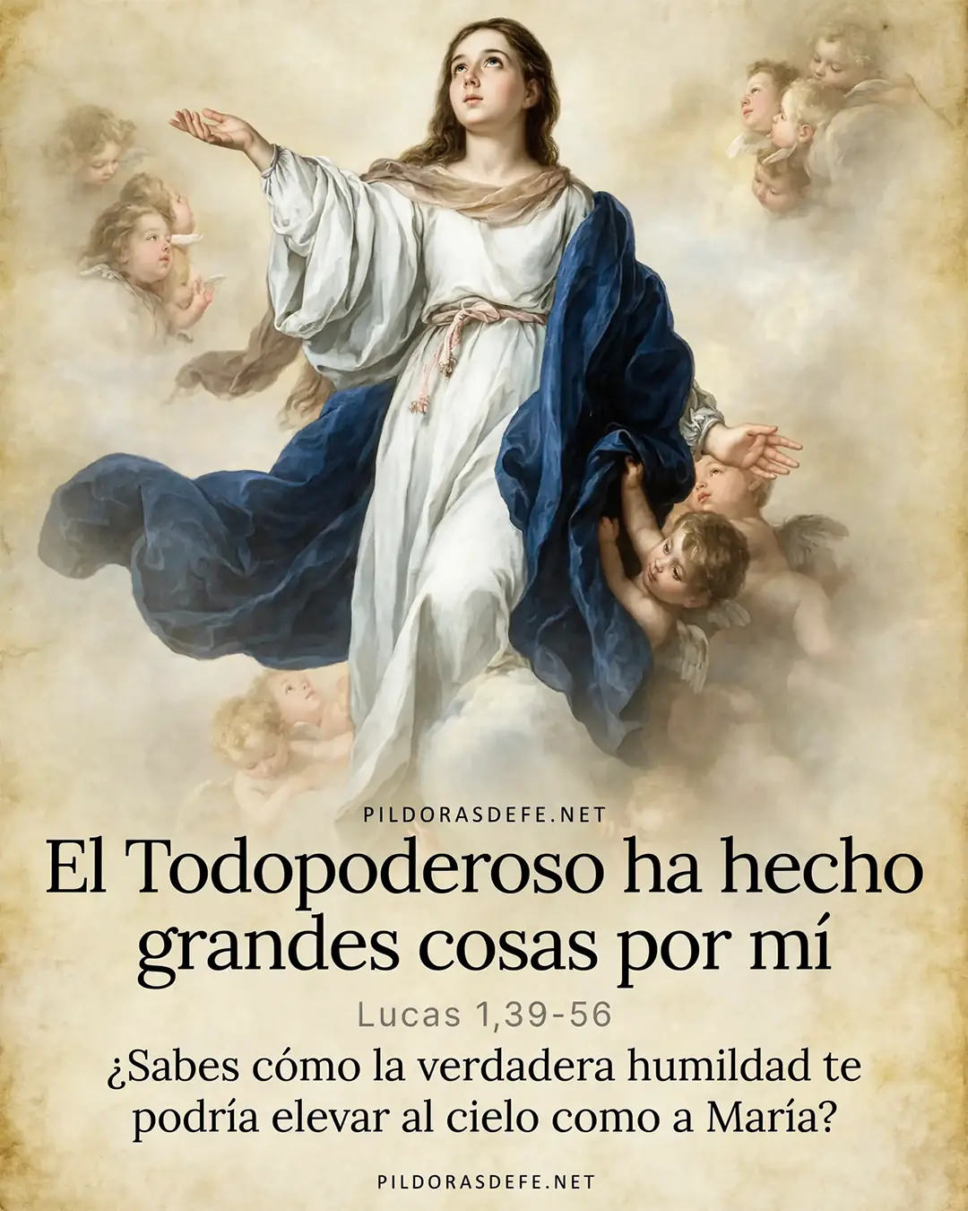 Evangelio de hoy Sabado San Lucas 1 39 56 Asuncion de Maria 150826 Evangelio de hoy Sábado, Lucas 1,39-56: El Todopoderoso ha hecho grandes cosas por mí