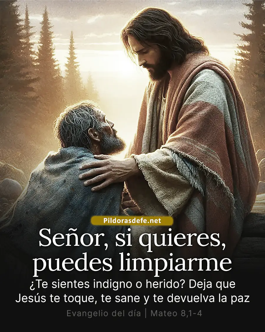 Evangelio de hoy Viernes, Mateo 8,1-4: Si quieres, puedes limpiarme