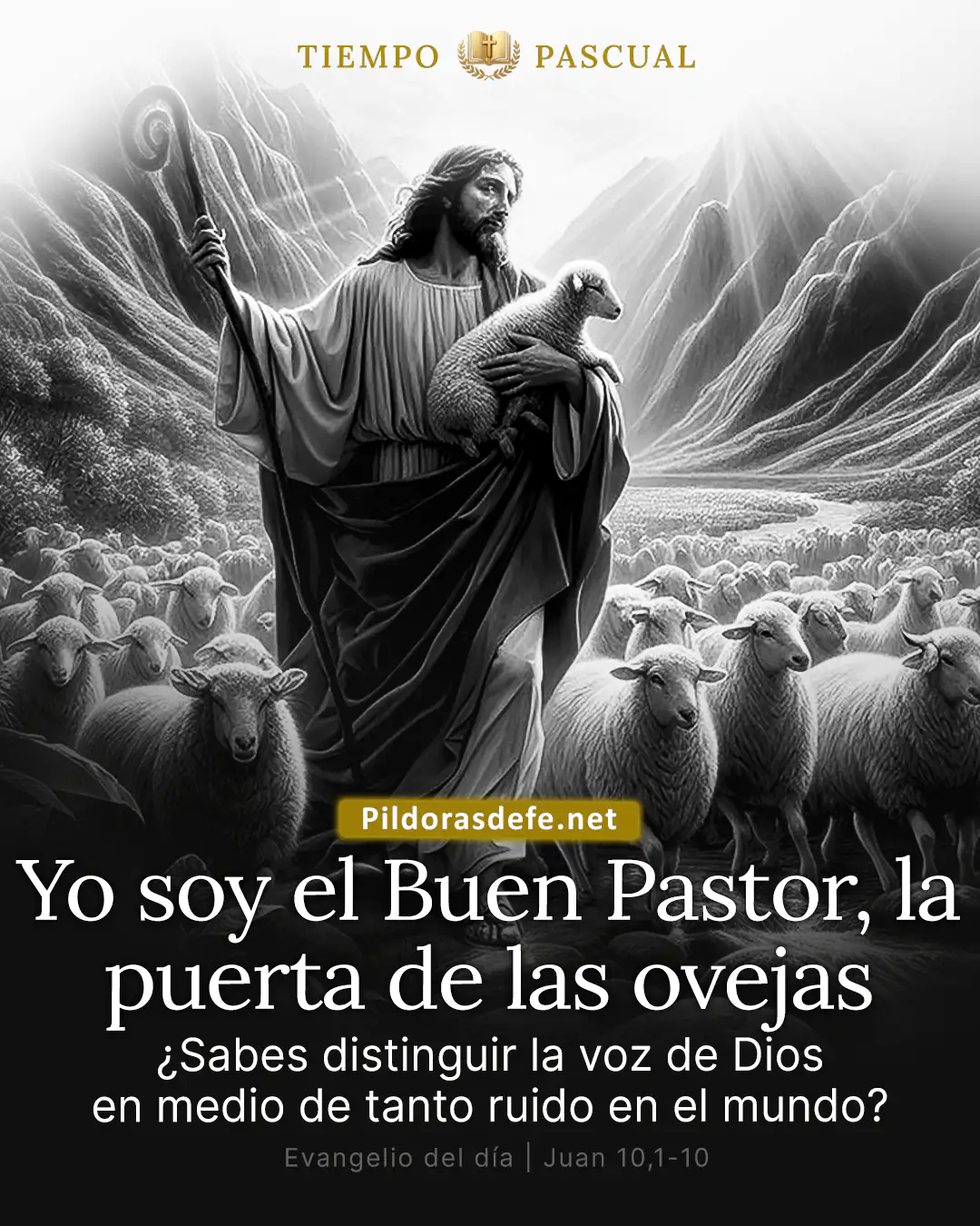 Evangelio del dia Domingo Juan 10 1 10 Yo soy el Buen Pastor