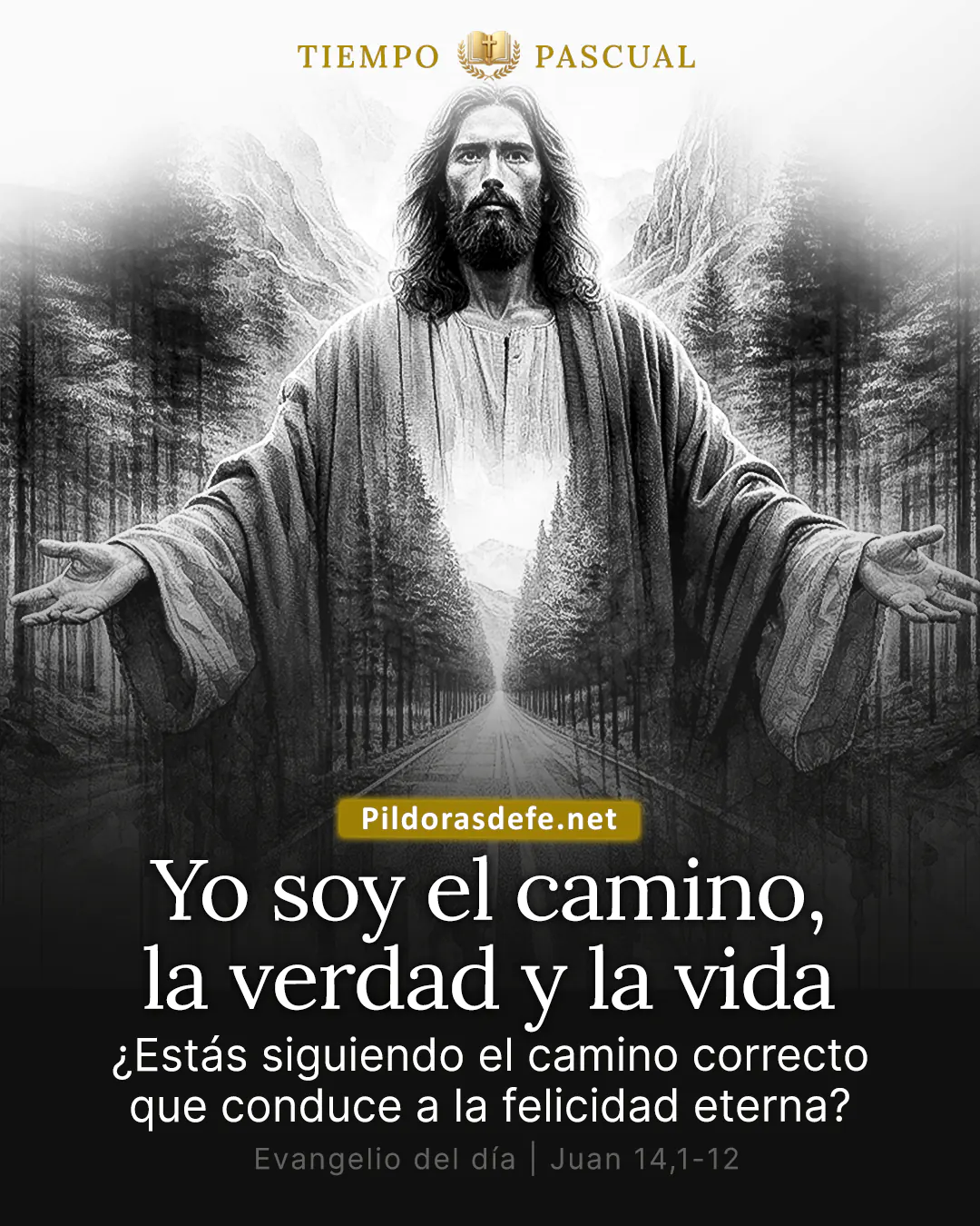 Evangelio de hoy, Juan 14,1-12: Yo soy el camino, la verdad y la vida