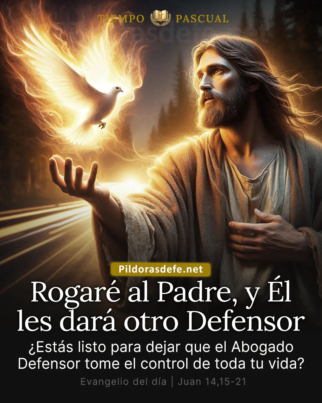 Evangelio del día, Juan 14,15-21: Yo rogaré al Padre, y Él les dará otro Defensor