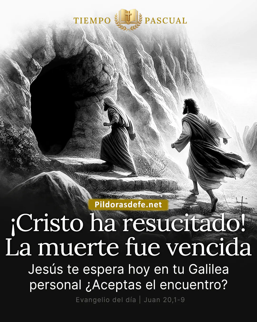 Evangelio del día Juan 20,1-9: Tenía que resucitar de entre los muertos