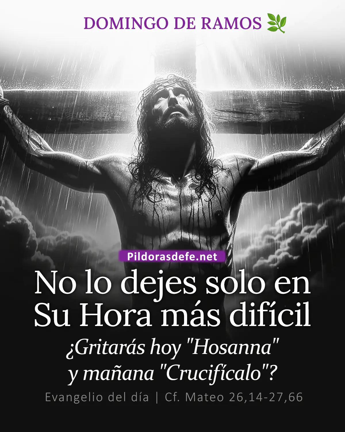 Evangelio del día Mateo 26,14-27,66: La Pasión de nuestro Señor Jesucristo