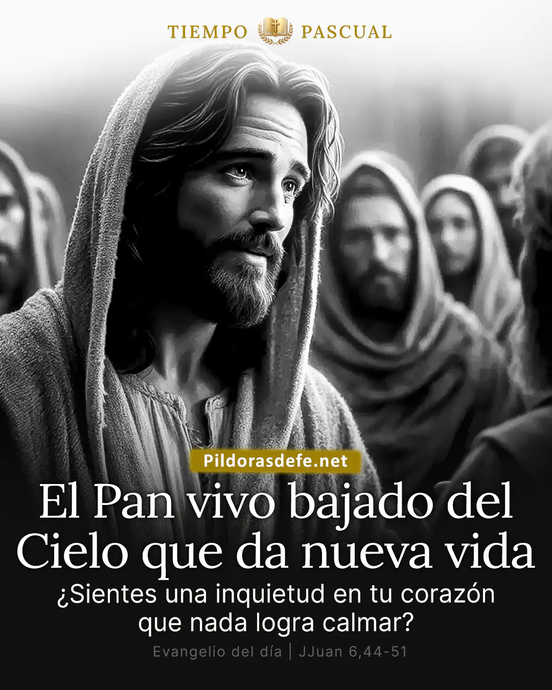 Evangelio del día Juan 6,44-51: Que todo el que vea al Hijo tenga vida eterna