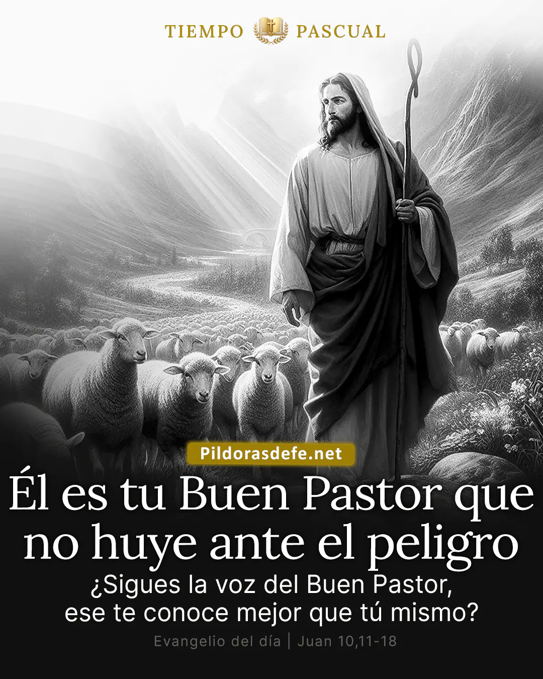 Evangelio del dia Lunes Juan 10 11 18 Jesus es Buen Pastor