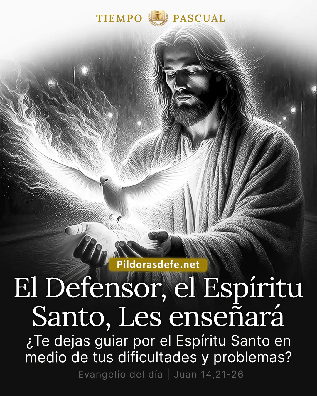 Evangelio de hoy, Juan 14,21-26: El Defensor, el Espíritu Santo, les enseñará todo