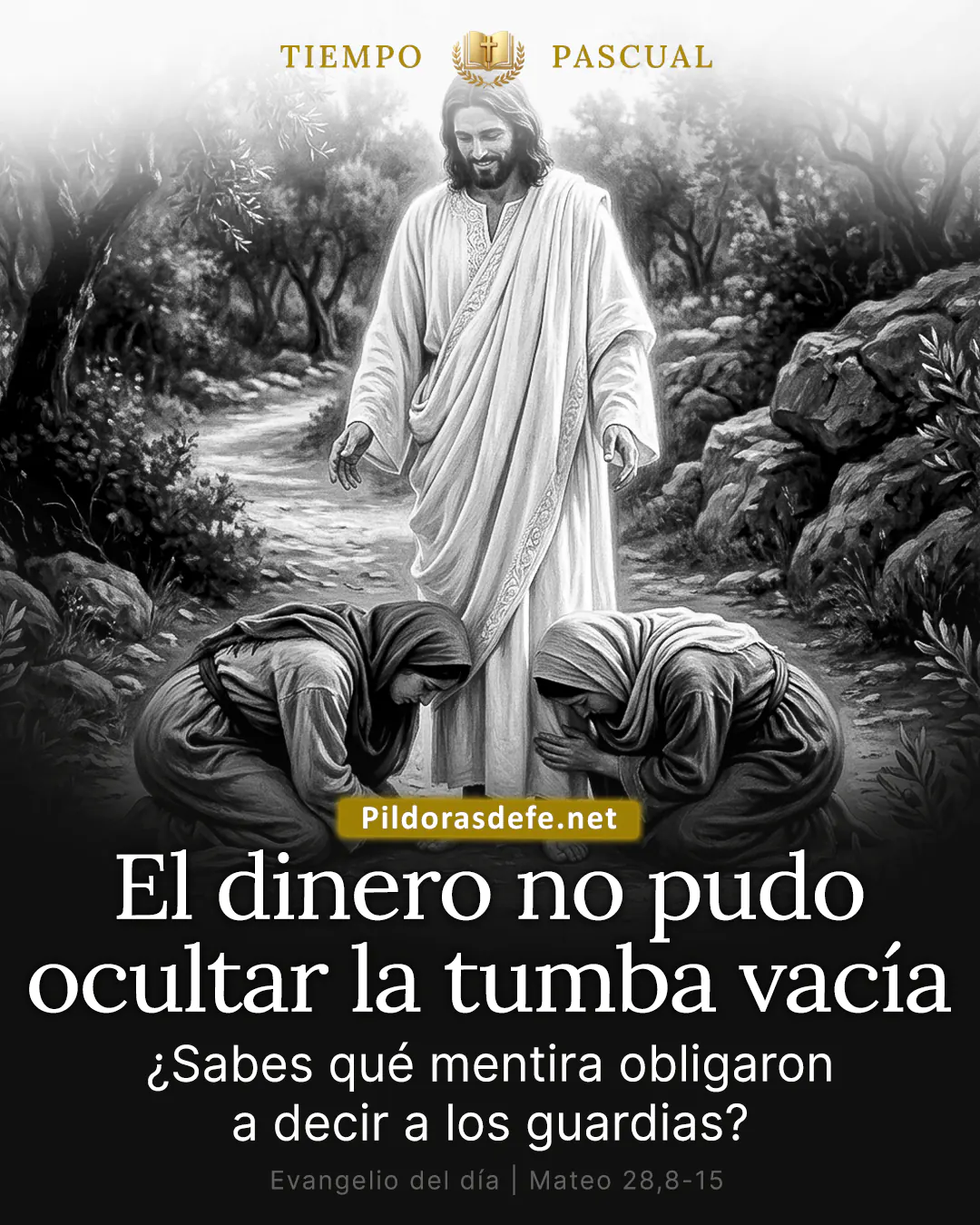Evangelio del día Mateo 28,8-15: Avisen a mis hermanos que vayan a Galilea, y allí me verán