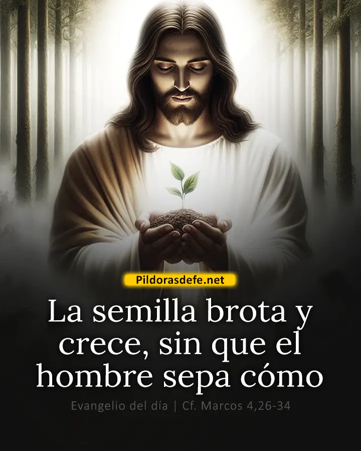 Evangelio del día Marcos 4,26-34: La semilla brota y crece, sin que el hombre sepa cómo