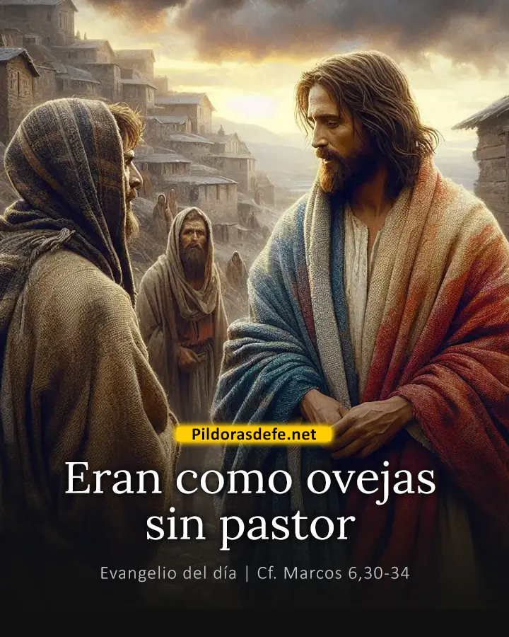 Evangelio del día Marcos 6,30-34: Eran como ovejas sin pastor