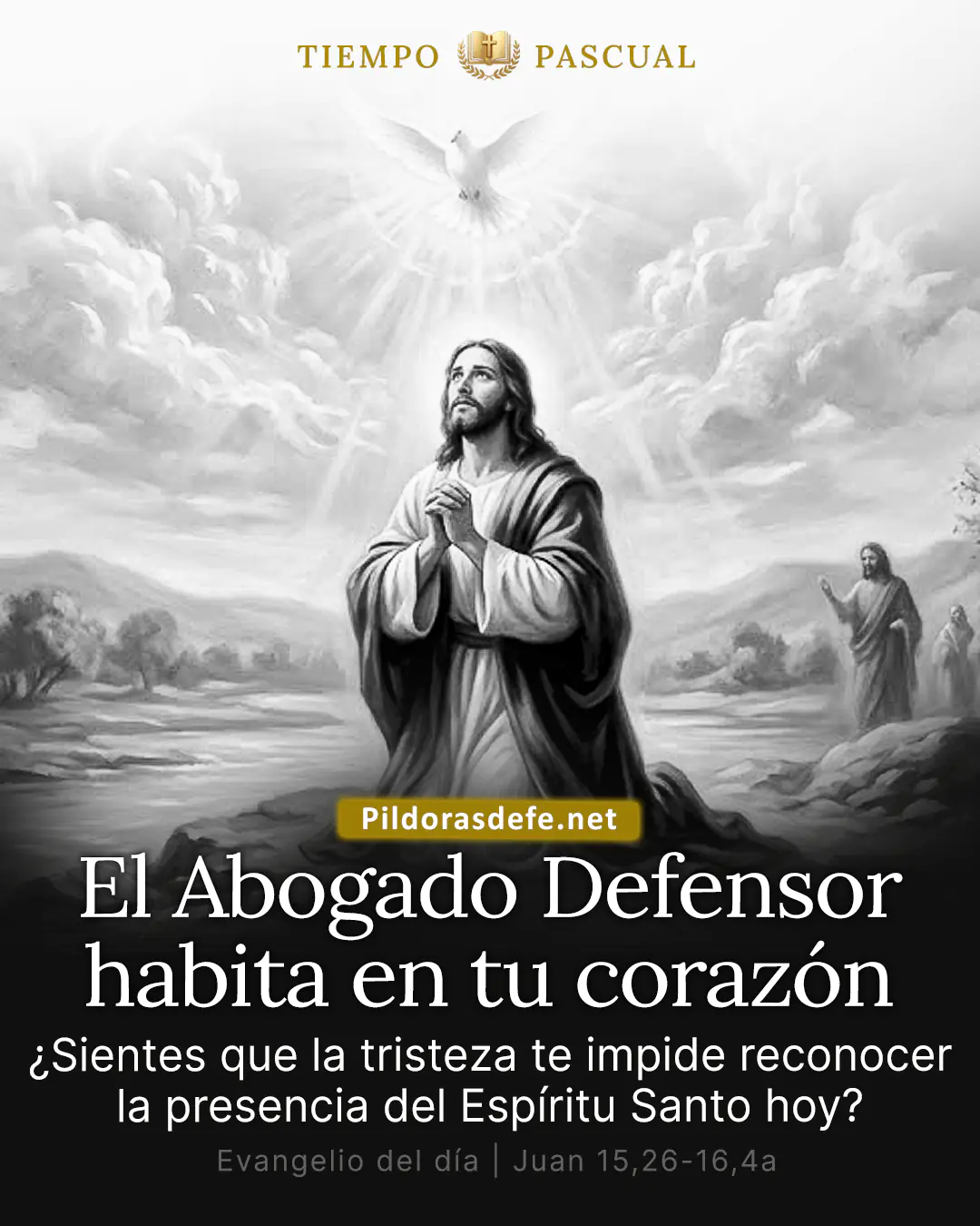 Evangelio de hoy, Juan 16,5-11: Si no me voy, el Defensor no vendrá a ustedes