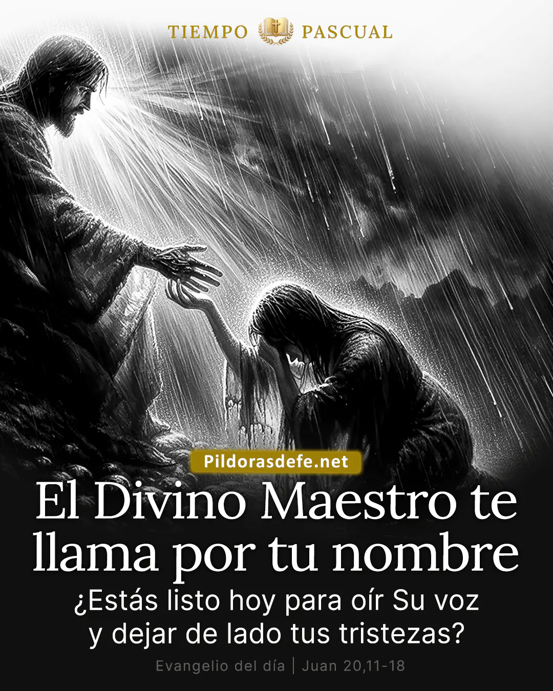 Evangelio del día Juan 20,11-18: He visto al Señor, y él me dijo estas cosas