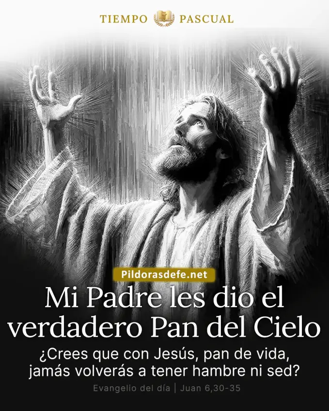 Evangelio del día Juan 6,30-35: Mi Padre les da el verdadero pan del cielo