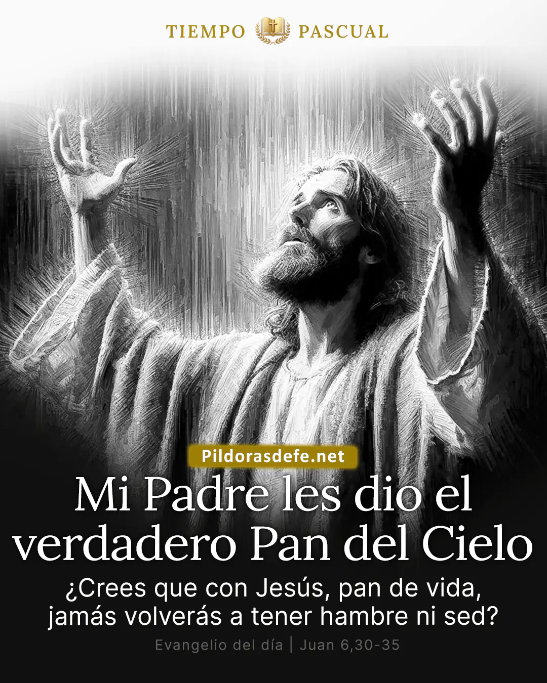 Evangelio del día Juan 6,30-35: Mi Padre les da el verdadero pan del cielo