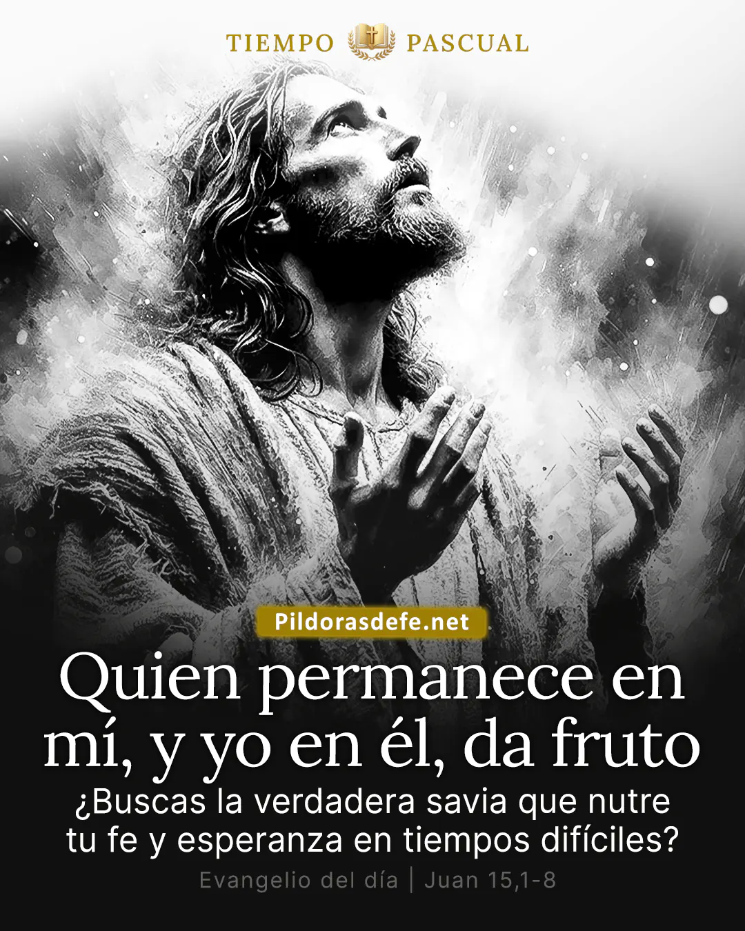 Evangelio de hoy, Juan 15,1-8: El que permanece en mí, y yo en él, da mucho fruto